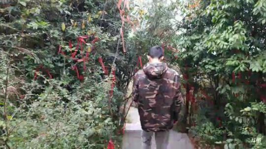 丿Good丶发布了一个斗鱼视频2018-11-22