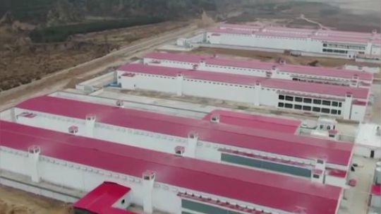 走，一起拜访大山里的“隐士鸡” 2018-11-18 13点场