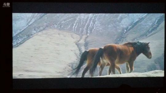 HHHISHHH发布了一个斗鱼视频2018-11-23