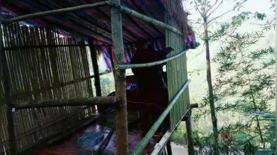 护法惊丶发布了一个斗鱼视频2018-11-24