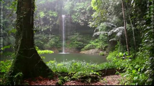 HHHISHHH发布了一个斗鱼视频2018-11-24