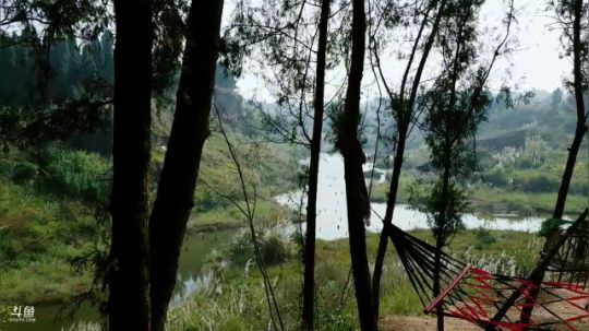 Smlia丶卡布奇诺发布了一个斗鱼视频2018-11-25