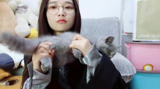肖淑洁的188万粉丝发布了一个斗鱼视频2018-11-25