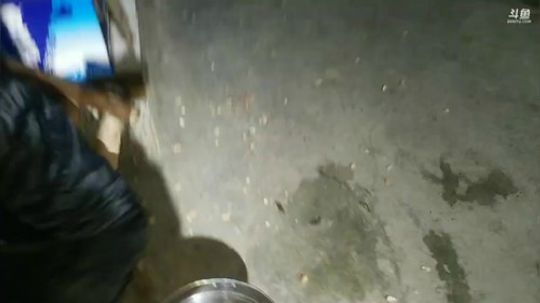 带着水友河道抓鱼， 2018-11-26 20点场