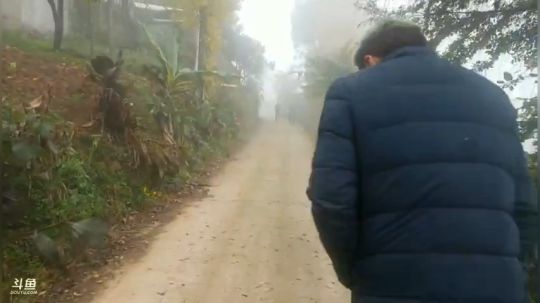 向往的生活