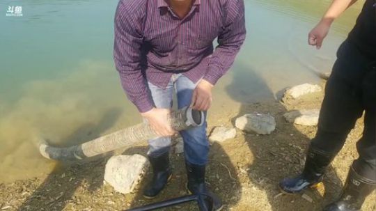 11点抽干水库。 2018-11-27 10点场