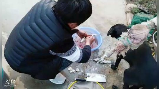 ………播播 2018-11-27 16点场