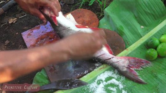 【荒野美食】野人大叔用瓦片烤鱼好想尝一尝啊！