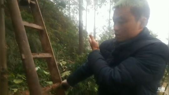 新基地建设