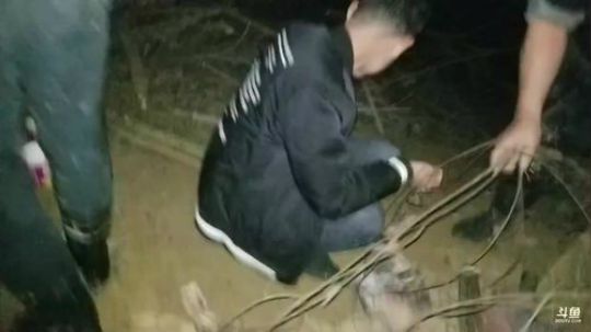 11点抽干水库。 2018-11-27 18点场