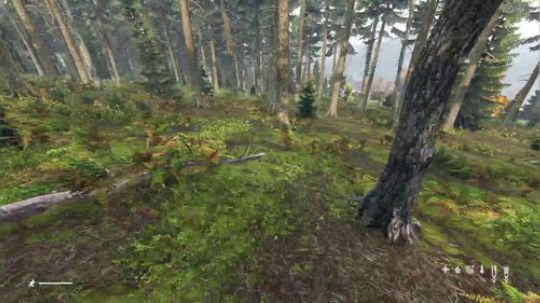 dayz僵尸末日求生大作战 2018-11-26 15点场