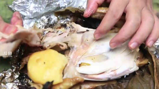 我在斗鱼看野食小哥直播美食