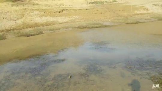 抽干水库怼大货 2018-11-28 13点场