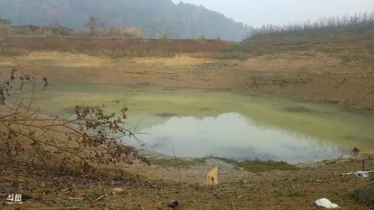 登月团丶离去发布了一个斗鱼视频2018-11-28