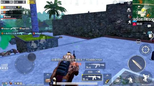 雾天雨林20杀击杀集锦