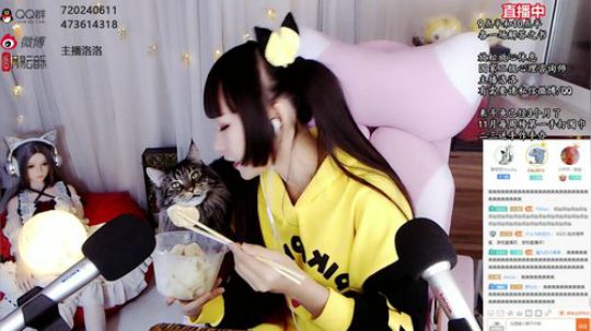 洛洛的吃播：一口一个大饺子，还被查房了？
