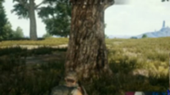 这颗榴就很舒服～