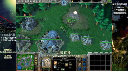 我在斗鱼看大帝LioN直播魔兽争霸