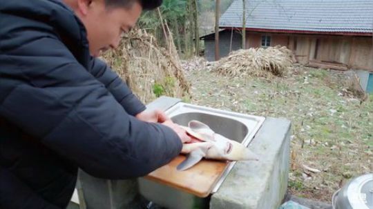 新的一天新的开始(≧ω≦)/ 2018-11-29 15点场