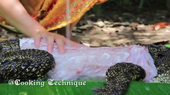 【野炊姐妹】~这是烤全鱼吧~