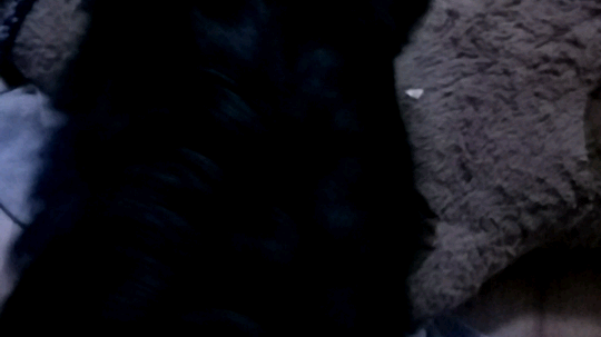 一大早醒来看到狗子床上都是蛋壳[流汗]这家伙趁我睡着又翻垃圾