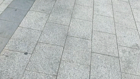 小区物业烤羊肉