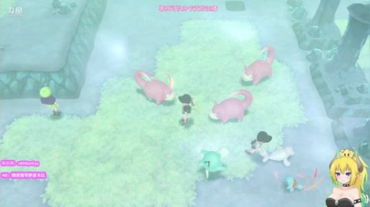 芫酱☆欧皇的日常抓闪 2018-12-02 18点场