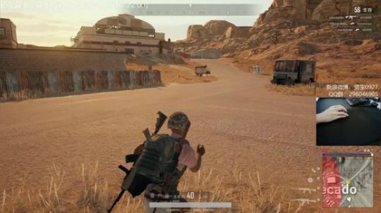 单人四排妹控20杀吃鸡