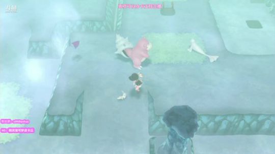 芫酱☆欧皇的日常抓闪 2018-12-02 20点场