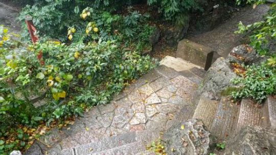 《纪实直播》桂林山水甲天下 2018-12-02 12点场