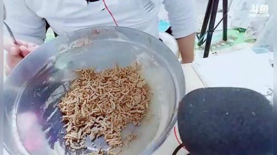 我在斗鱼看小瘾VS水箭龟直播户外