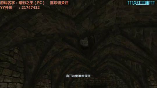 暗影之王 第五章 第四节