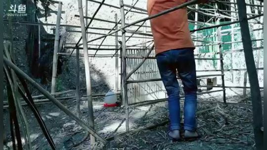 635952新主播求支持！求帮忙点个关注 2018-12-02 13点场