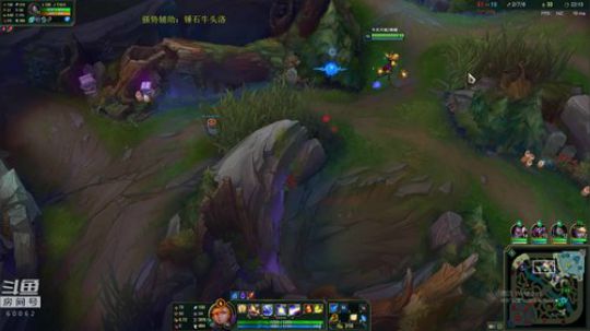 卷毛：今天继续干！~ 2018-12-03 16点场