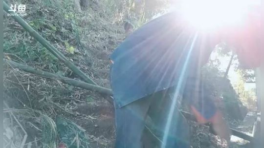 635952新主播求支持！求帮忙点个关注 2018-12-02 09点场