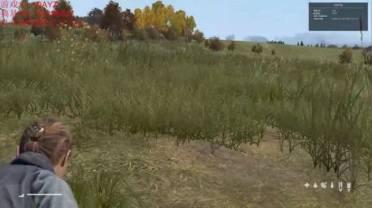 DAYZ之惊心动魄半小时