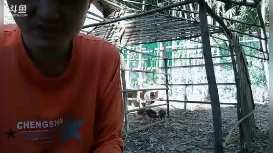 635952新主播求支持！求帮忙点个关注 2018-12-03 13点场