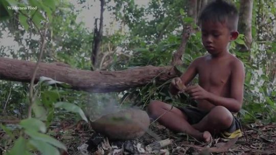 【荒野戏精】~小可怜煮鸟蛋吃~可爱