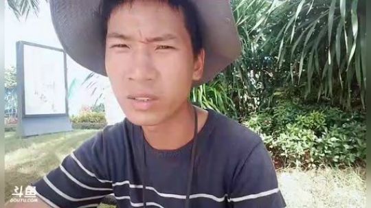狗强评价狗系成员