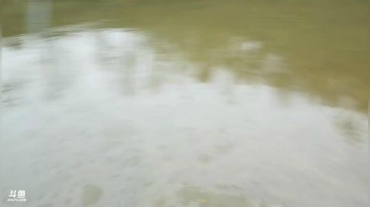 抽千斤鱼塘晚8点冲小时榜。 2018-12-04 16点场