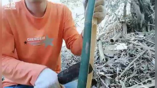 635952新主播求支持！求帮忙点个关注 2018-12-04 12点场