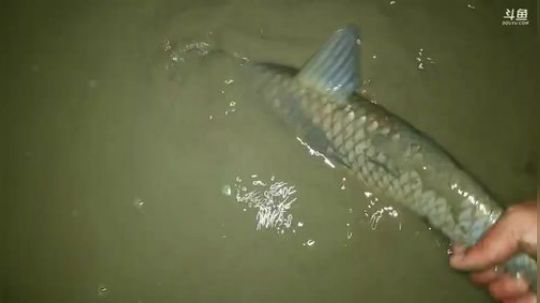 8点小时榜大家一起拿下。 2018-12-04 21点场