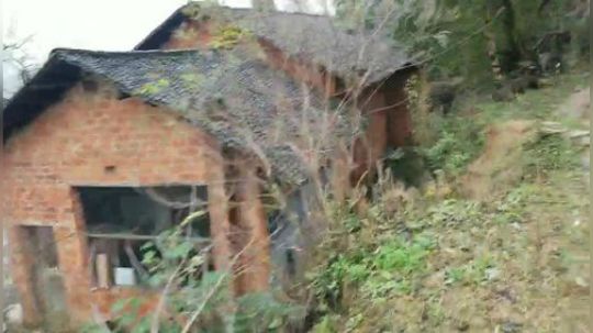 抽千斤鱼塘晚8点冲小时榜。 2018-12-04 11点场