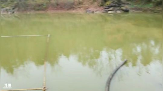 抽千斤鱼塘晚8点冲小时榜。 2018-12-04 11点场