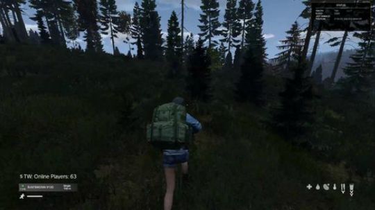 dayz僵尸末日求生相对论 2018-12-04 15点场