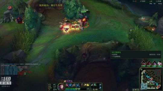 卷毛：今天继续干！~ 2018-12-04 14点场