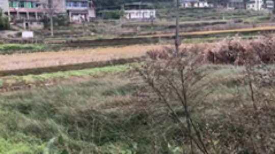 回老家了 美丽的小山村  这几天休息 忙完就直播