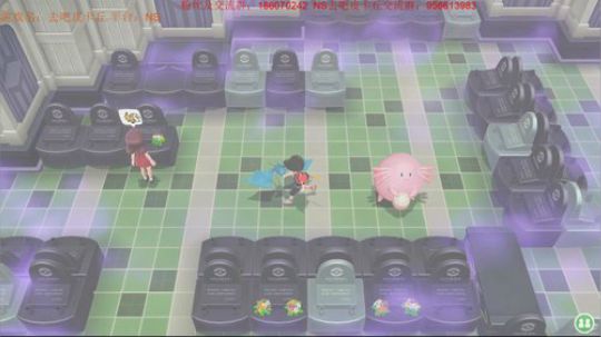 斗鱼最强宝可梦冠军天王，在线教学~ 2018-12-04 16点场