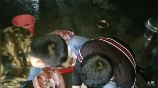 杀鱼做腊鱼。 2018-12-05 01点场