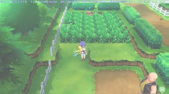 【皮卡丘】和【怪猎】交替进行，闪3白金了 2018-12-05 04点场